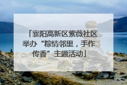 襄阳高新区紫薇社区举办“粽情邻里，手作传香”主题活动