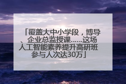 覆盖大中小学段，博导、企业总监授课……这场人工智能素养提升高研班参与人次达30万