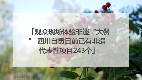 观众现场体验非遗“大餐” 四川自贡目前已有非遗代表性项目243个