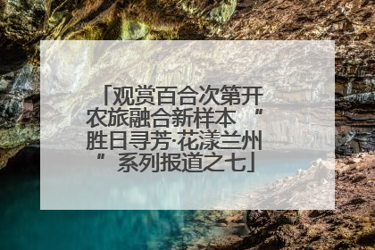 观赏百合次第开 农旅融合新样本 “胜日寻芳·花漾兰州”系列报道之七