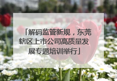解码监管新规，东莞辖区上市公司高质量发展专题培训举行