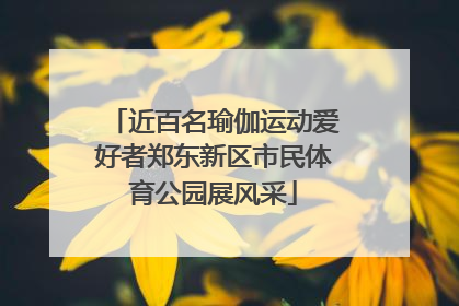 近百名瑜伽运动爱好者郑东新区市民体育公园展风采
