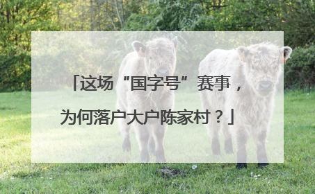 这场“国字号”赛事，为何落户大户陈家村？