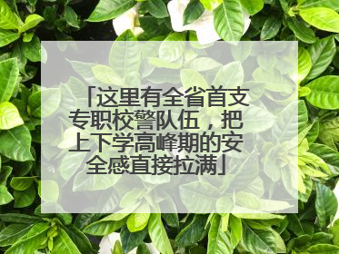 这里有全省首支专职校警队伍，把上下学高峰期的安全感直接拉满