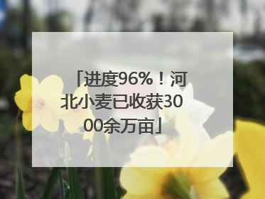 进度96%！河北小麦已收获3000余万亩