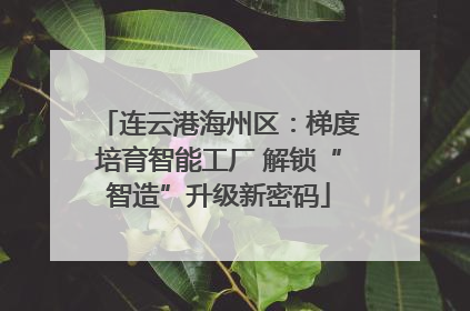 连云港海州区：梯度培育智能工厂 解锁“智造”升级新密码