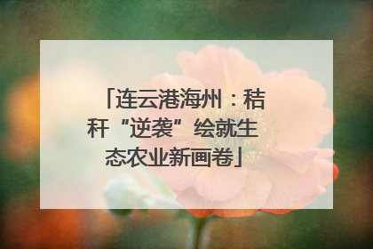 连云港海州：秸秆“逆袭”绘就生态农业新画卷