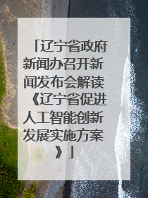 辽宁省政府新闻办召开新闻发布会解读《辽宁省促进人工智能创新发展实施方案》