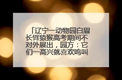 辽宁一动物园白眉长臂猿猴高考期间不对外展出，园方：它们一高兴就喜欢鸣叫，怕影响考试