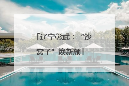 辽宁彰武：“沙窝子”焕新颜