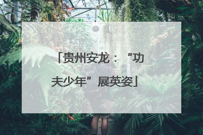 贵州安龙：“功夫少年”展英姿