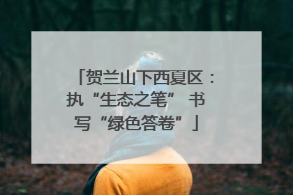 贺兰山下西夏区：执“生态之笔” 书写“绿色答卷”