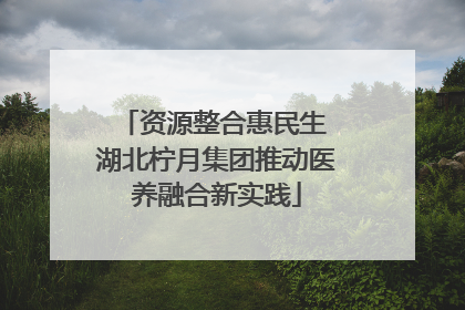 资源整合惠民生 湖北柠月集团推动医养融合新实践