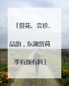 赏花、尝珍、品韵，东湖赏荷季有颜有料
