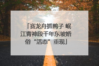 赛龙舟抓鸭子 岷江青神段千年东坡婚俗“活态”重现