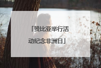 赞比亚举行活动纪念非洲日