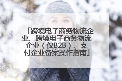 跨境电子商务物流企业、跨境电子商务物流企业（仅B2B）、支付企业备案操作指南