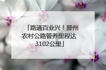 路通百业兴！滕州农村公路管养里程达3102公里