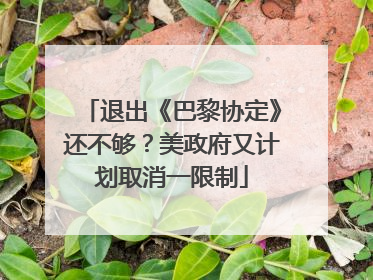 退出《巴黎协定》还不够？美政府又计划取消一限制