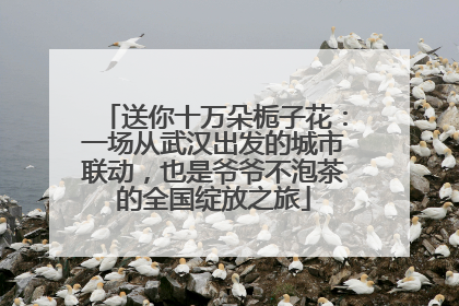 送你十万朵栀子花：一场从武汉出发的城市联动，也是爷爷不泡茶的全国绽放之旅