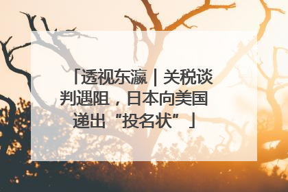 透视东瀛｜关税谈判遇阻，日本向美国递出“投名状”