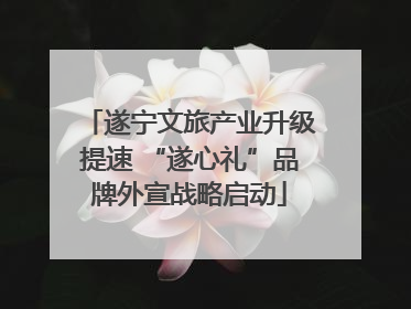 遂宁文旅产业升级提速 “遂心礼”品牌外宣战略启动
