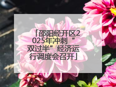 邵阳经开区2025年冲刺“双过半”经济运行调度会召开