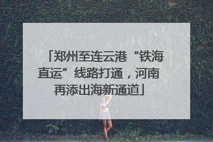 郑州至连云港“铁海直运”线路打通，河南再添出海新通道