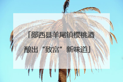 郧西县羊尾镇樱桃酒酿出“致富”新味道