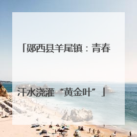 郧西县羊尾镇：青春汗水浇灌“黄金叶”
