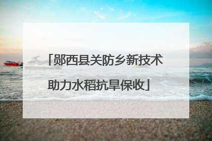 郧西县关防乡新技术助力水稻抗旱保收