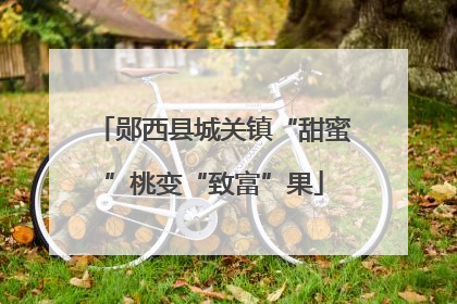 郧西县城关镇“甜蜜”桃变“致富”果