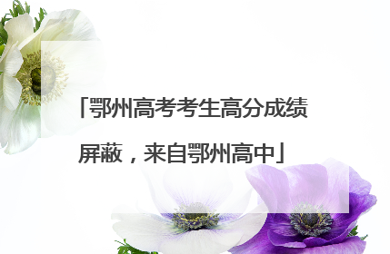 鄂州高考考生高分成绩屏蔽，来自鄂州高中