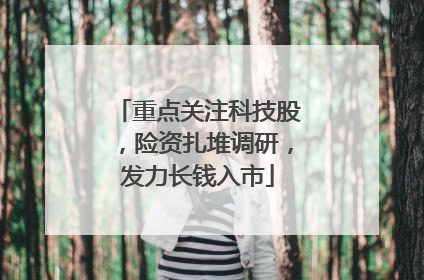 重点关注科技股，险资扎堆调研，发力长钱入市