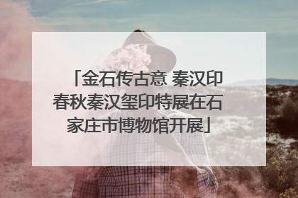 金石传古意 秦汉印春秋秦汉玺印特展在石家庄市博物馆开展