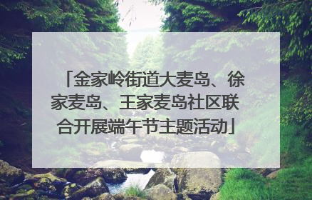 金家岭街道大麦岛、徐家麦岛、王家麦岛社区联合开展端午节主题活动