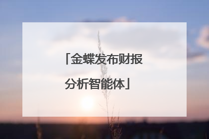 金蝶发布财报分析智能体