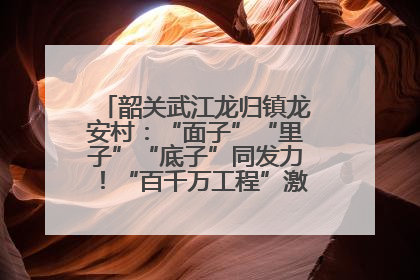 韶关武江龙归镇龙安村：“面子”“里子”“底子”同发力！“百千万工程”激活乡村新动能