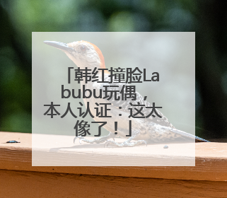 韩红撞脸Labubu玩偶，本人认证：这太像了！
