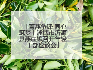 青燕争锋 同心筑梦丨淄博市沂源县燕崖镇召开年轻干部座谈会