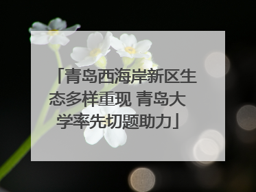 青岛西海岸新区生态多样重现 青岛大学率先切题助力