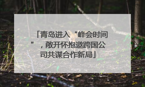 青岛进入“峰会时间”，敞开怀抱邀跨国公司共谋合作新局
