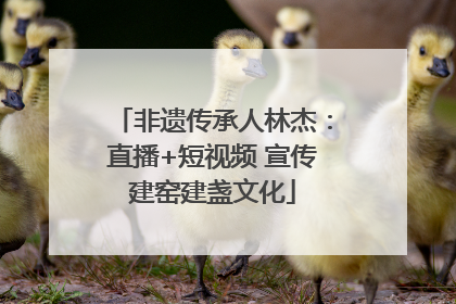 非遗传承人林杰：直播+短视频 宣传建窑建盏文化