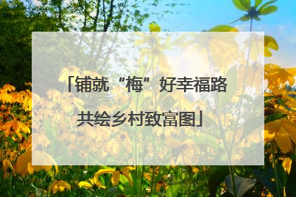 铺就“梅”好幸福路 共绘乡村致富图