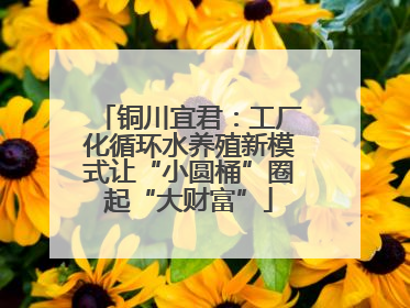 铜川宜君：工厂化循环水养殖新模式让“小圆桶”圈起“大财富”