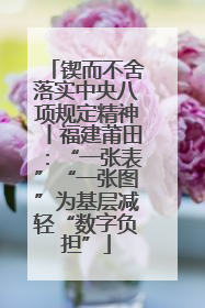 锲而不舍落实中央八项规定精神丨福建莆田：“一张表”“一张图”为基层减轻“数字负担”