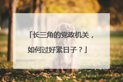 长三角的党政机关，如何过好紧日子？