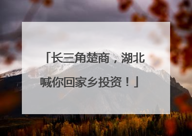 长三角楚商，湖北喊你回家乡投资！