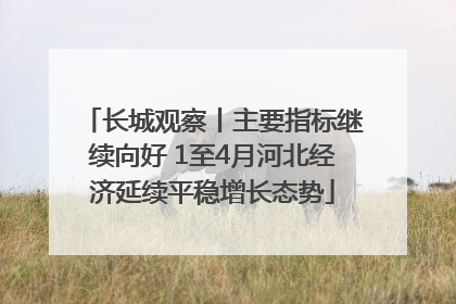 长城观察丨主要指标继续向好 1至4月河北经济延续平稳增长态势