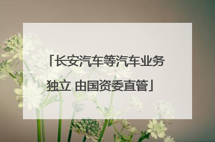长安汽车等汽车业务独立 由国资委直管